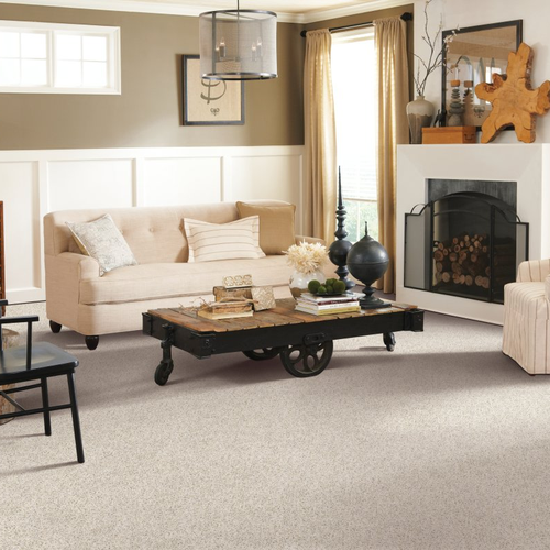 Factory Direct Carpets providing stain-resistant pet proof carpet in Chambersburg, PA Restful Style-Catalina
